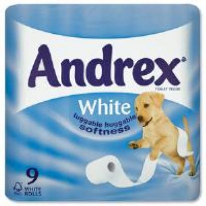 Toilet Roll Andrex 9 Rolls (White)