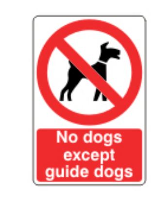 Sign - No Dogs Except Guide Dogs Self Adhesive Vinyl 15 x 20cm Red On White