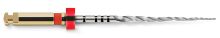 File Protaper (Maillefer) Next Niti 25mm Size X2 x 6