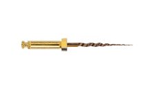 File Protaper (Maillefer) Gold Sterile 25mm Size F2 x 6