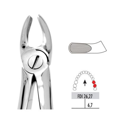 Forceps Upper Molars (Unodent) No.18 Stainless Steel Reusable x 1