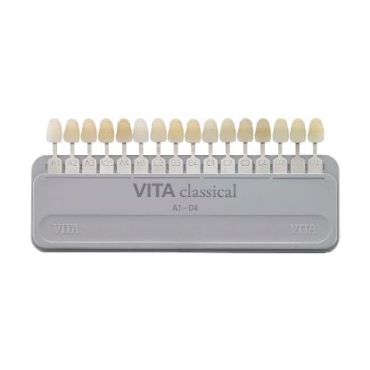 Vita Classic Lumin Vacuum Shade Guide (Panadent)