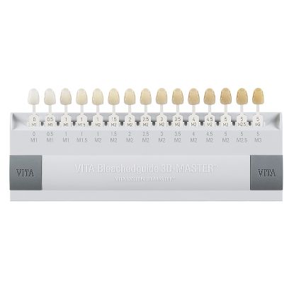 Vita Bleach Shade Guide (Vita)