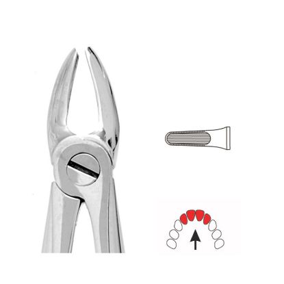 Forceps No.37 (Unodent) Child Upper Incisors & Canines Autoclavable x 1