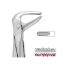 Forceps No.74 (Unodent) Lower Roots Autoclavable x 1
