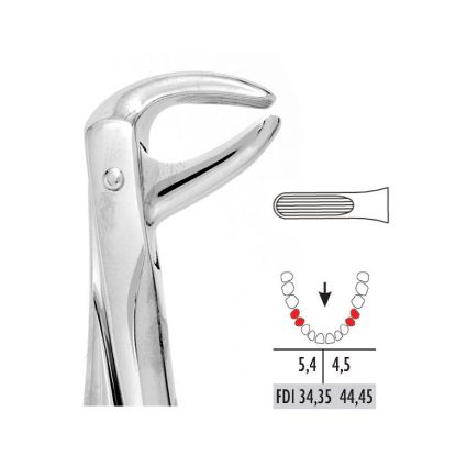 Forceps No.75 (Unodent) Lower Bicuspids Autoclavable x 1