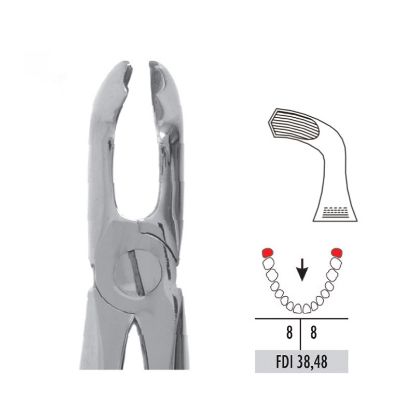 Forceps No.79 (Unodent) Lower Wisdom Autoclavable x 1