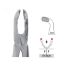 Forceps No.79 (Unodent) Lower Wisdom Autoclavable x 1