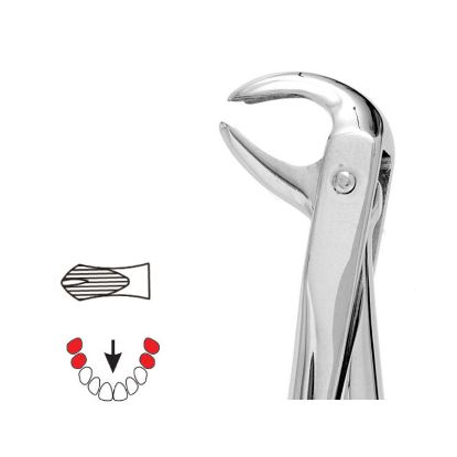 Forceps No.161 (Unodent) Child Lower Molars Autoclavable x 1