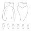 Crown Forms Clear (Odus Pella) Laterals 2 x 1 Pair