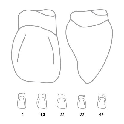 Crown Forms Clear (Odus Pella) Laterals 12 x 1 Pair