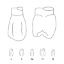 Crown Forms Clear (Odus Pella) Bi-Cuspids 14 x 1 Pair