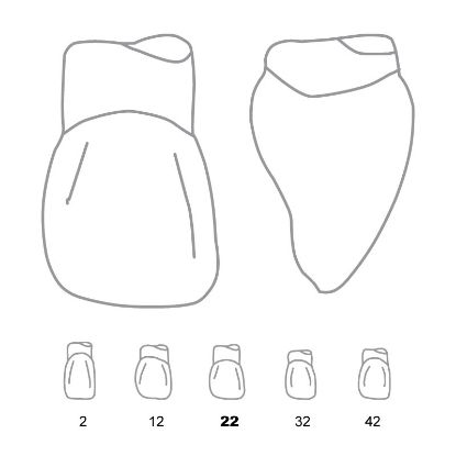 Crown Forms Clear (Odus Pella) Laterals 22 x 1 Pair