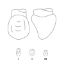 Crown Forms Clear (Odus Pella) Canines 23 x 1 Pair
