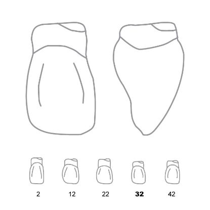 Crown Forms Clear (Odus Pella) Laterals 32 x 1 Pair