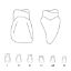 Crown Forms Clear (Odus Pella) Centrals 41 x 1 Pair