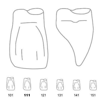Crown Forms Clear (Odus Pella) Central Cervical Part Enlarged 111 x 1 Pair