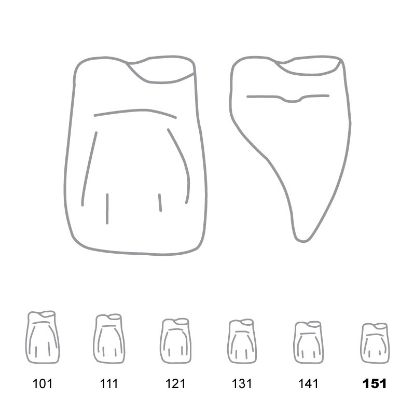 Crown Forms Clear (Odus Pella) Central Cervical Part Enlarged 151 x 1 Pair