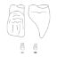 Crown Forms Clear (Odus Pella) Centrals Xl 171 x 1 Pair