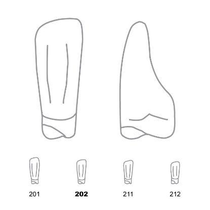Crown Forms Clear (Odus Pella) Incisors Lower 202 x 1 Pair