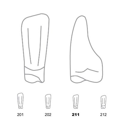 Crown Forms Clear (Odus Pella) Incisors Lower 211 x 1 Pair