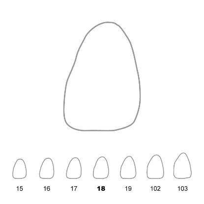 Crown Polycarbonate (Unodent) Upper Central Incisors Left 18 x 5