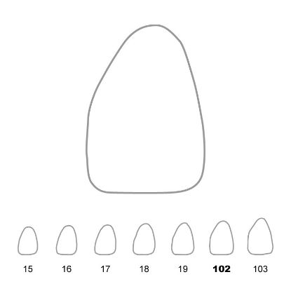 Crown Polycarbonate (Unodent) Upper Central Incisors Left 102 x 5