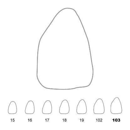 Crown Polycarbonate (Unodent) Upper Central Incisors Left 103 x 5