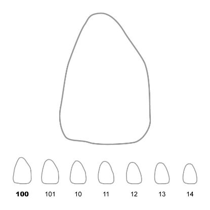 Crown Polycarbonate (Unodent) Upper Central Incisors Right 100 x 5