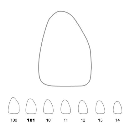 Crown Polycarbonate (Unodent) Upper Central Incisors Right 101 x 5
