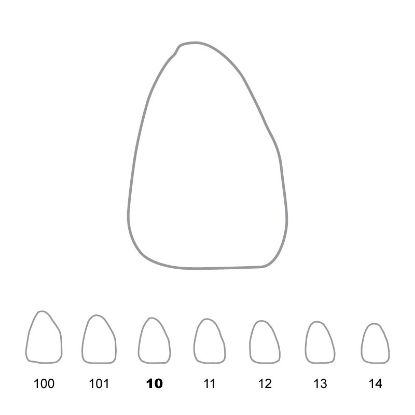 Crown Polycarbonate (Unodent) Upper Central Incisors Right 10 x 5
