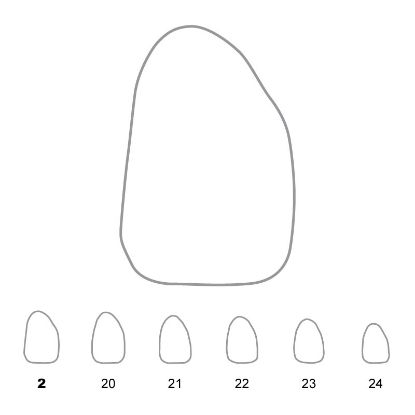 Crown Polycarbonate (Unodent) Upper Lateral Incisors Right 2 x 5