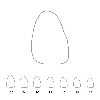 Crown Polycarbonate (Unodent) Upper Central Incisors Right 11 x 5