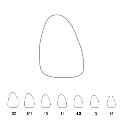 Crown Polycarbonate (Unodent) Upper Central Incisors Right 12 x 5
