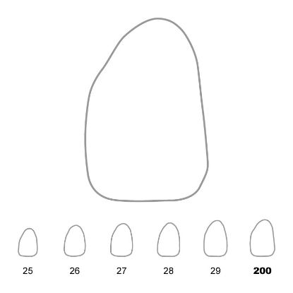 Crown Polycarbonate (Unodent) Upper Lateral Incisors Left 200 x 5