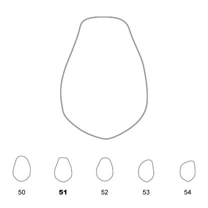Crown Polycarbonate (Unodent) Lower Premolars 51 x 5
