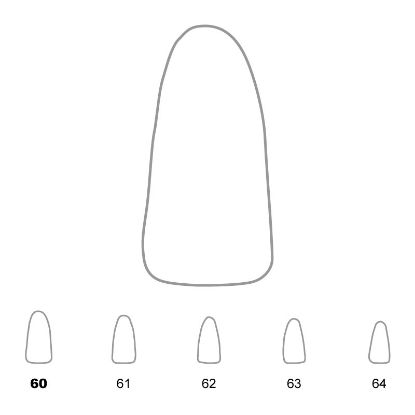 Crown Polycarbonate (Unodent) Lower Incisors 60 x 5