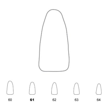 Crown Polycarbonate (Unodent) Lower Incisors 61 x 5