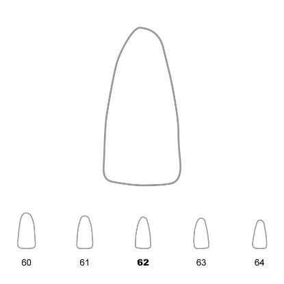 Crown Polycarbonate (Unodent) Lower Incisors 62 x 5