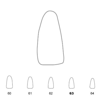 Crown Polycarbonate (Unodent) Lower Incisors 63 x 5