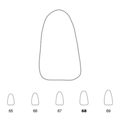 Crown Polycarbonate (Unodent) Lower Incisors 68 x 5