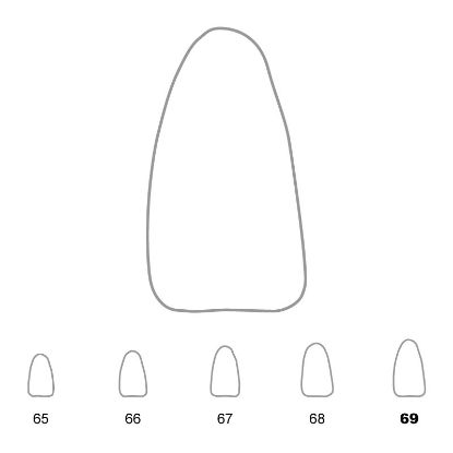 Crown Polycarbonate (Unodent) Lower Incisors 69 x 5
