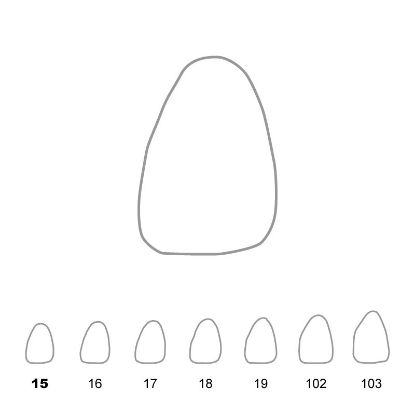Crown Polycarbonate (Directa) Upper Central Incisors Left 15 x 5