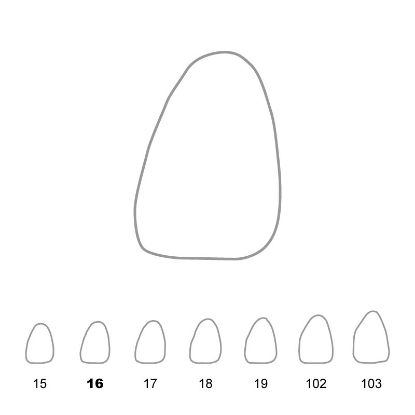 Crown Polycarbonate (Directa) Upper Central Incisors Left 16 x 5