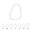 Crown Polycarbonate (Directa) Upper Central Incisors Left 16 x 5