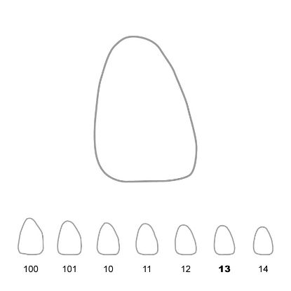 Crown Polycarbonate (Directa) Upper Central Incisors Right 13 x 5