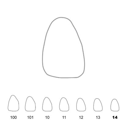 Crown Polycarbonate (Directa) Upper Central Incisors Right 14 x 5
