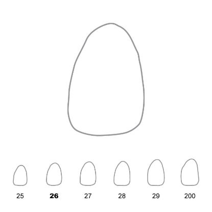 Crown Polycarbonate (Directa) Upper Lateral Incisor Left 26 x 5