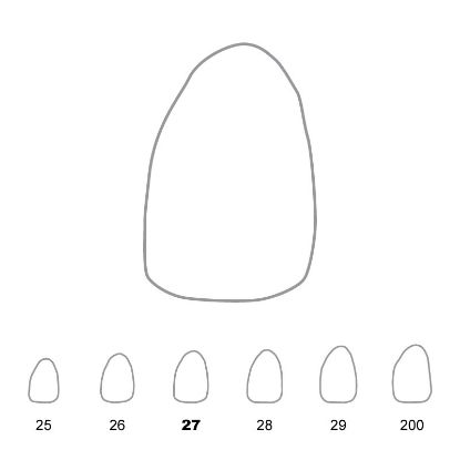 Crown Polycarbonate (Directa) Upper Lateral Incisor Left 27 x 5
