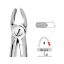 Forceps No.18 (Unodent) Premier Upper Molars Left Autoclavable x 1